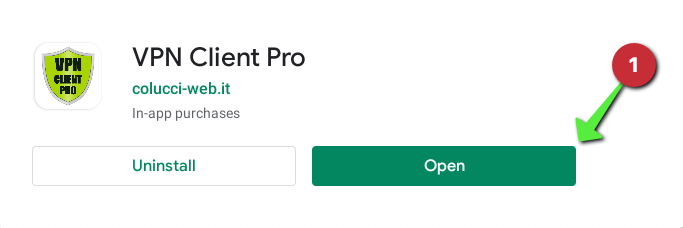 Open VPN Pro App